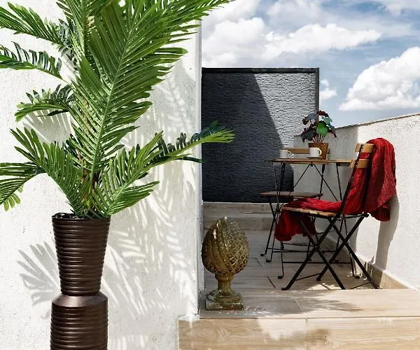 Qult - The Aristocrat