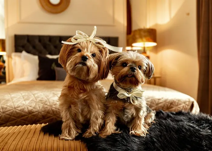 Apartamento Qult - The Aristocrat Bucareste