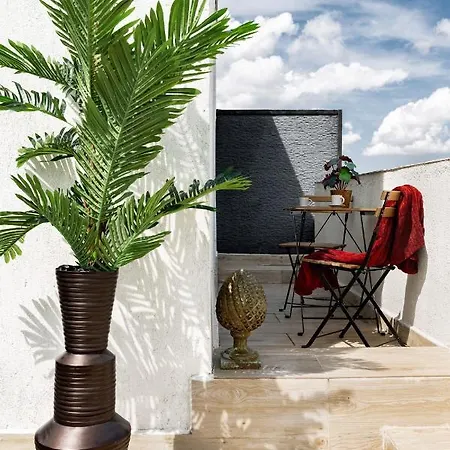 Qult - The Aristocrat